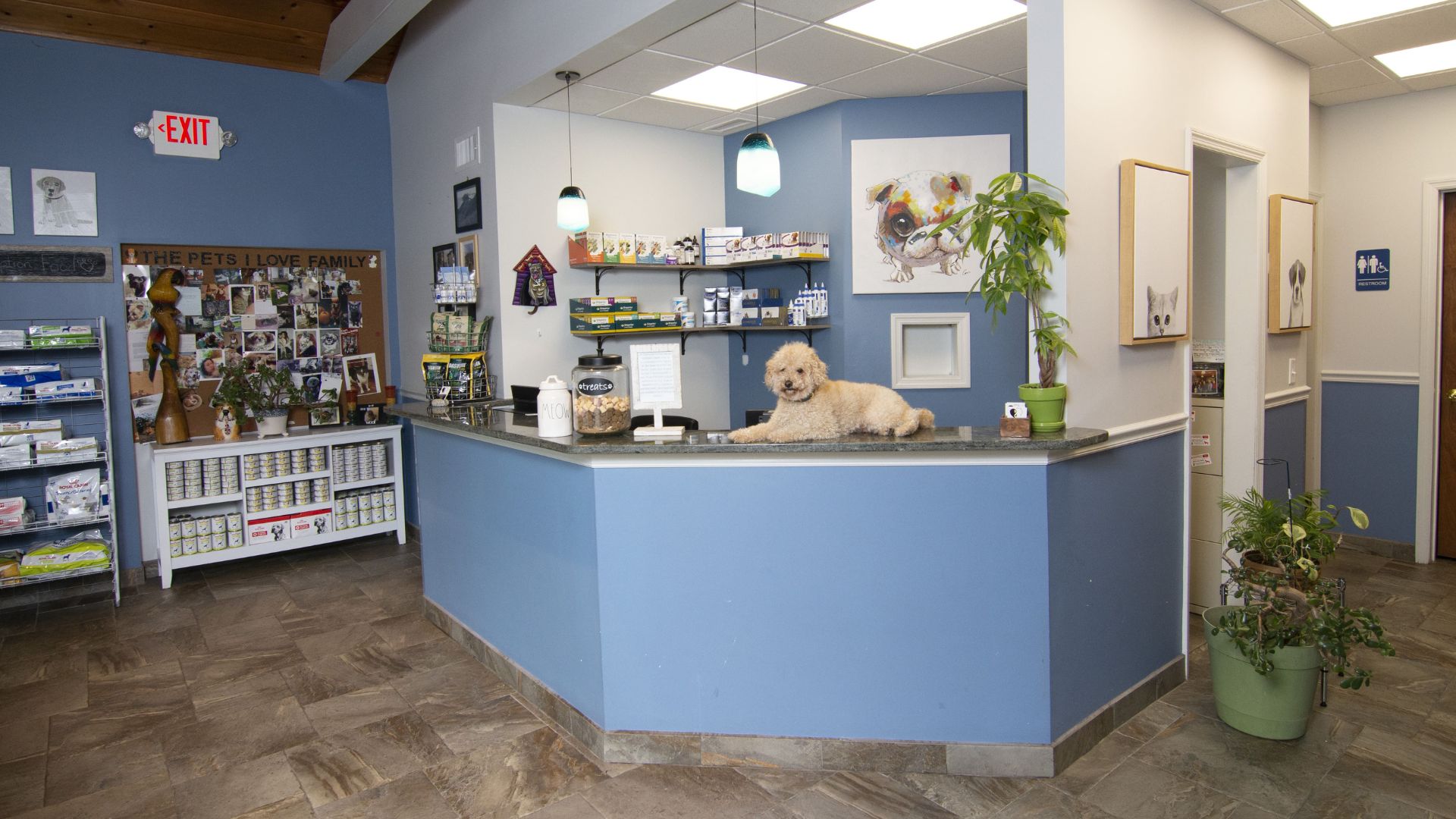 Hospital Tour The Pets I Love Veterinary Hospital